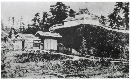 水戸城城郭の遠望