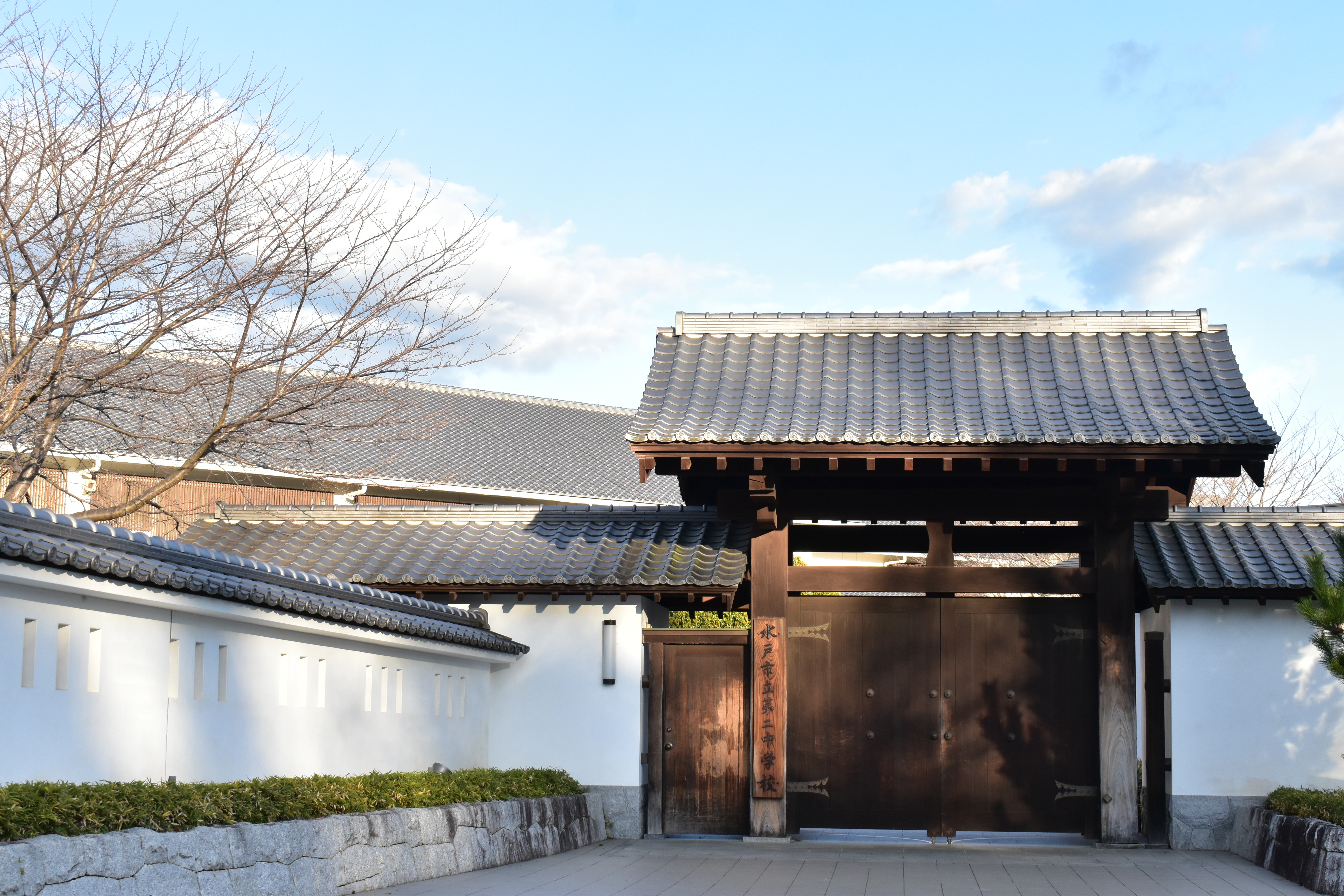 県立図書館 2025年時点の写真